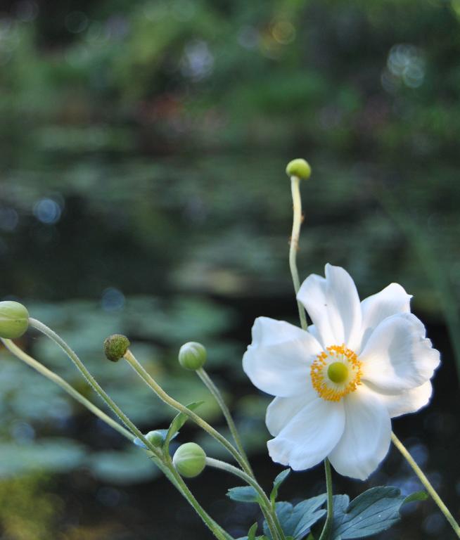 Cottage Les Quatre Saisons Giverny Zimmer foto